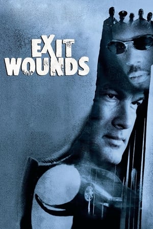Exit Wounds (2001) Hindi Dual Audio 300MB
