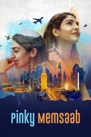 Pinky Memsaab 2018 Urdu Movie - [360MB]